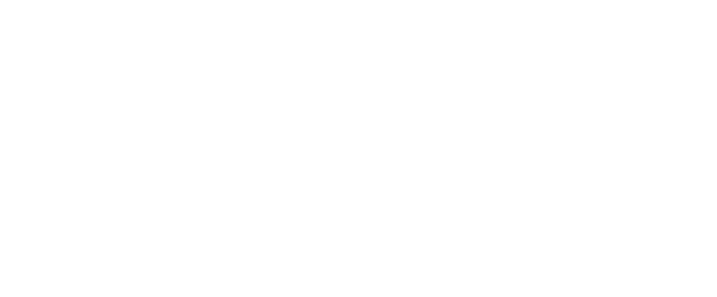 Bloom Connect Logo